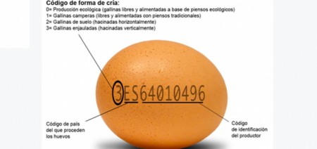 conocer lo mas mínimo es elegir la verdadera calidad